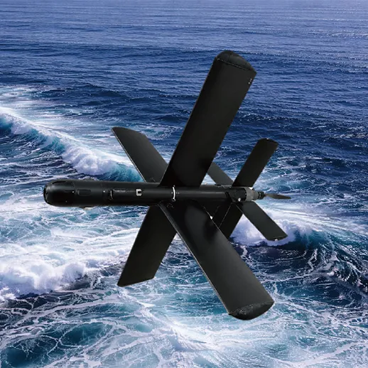 Loitering Munition LM1