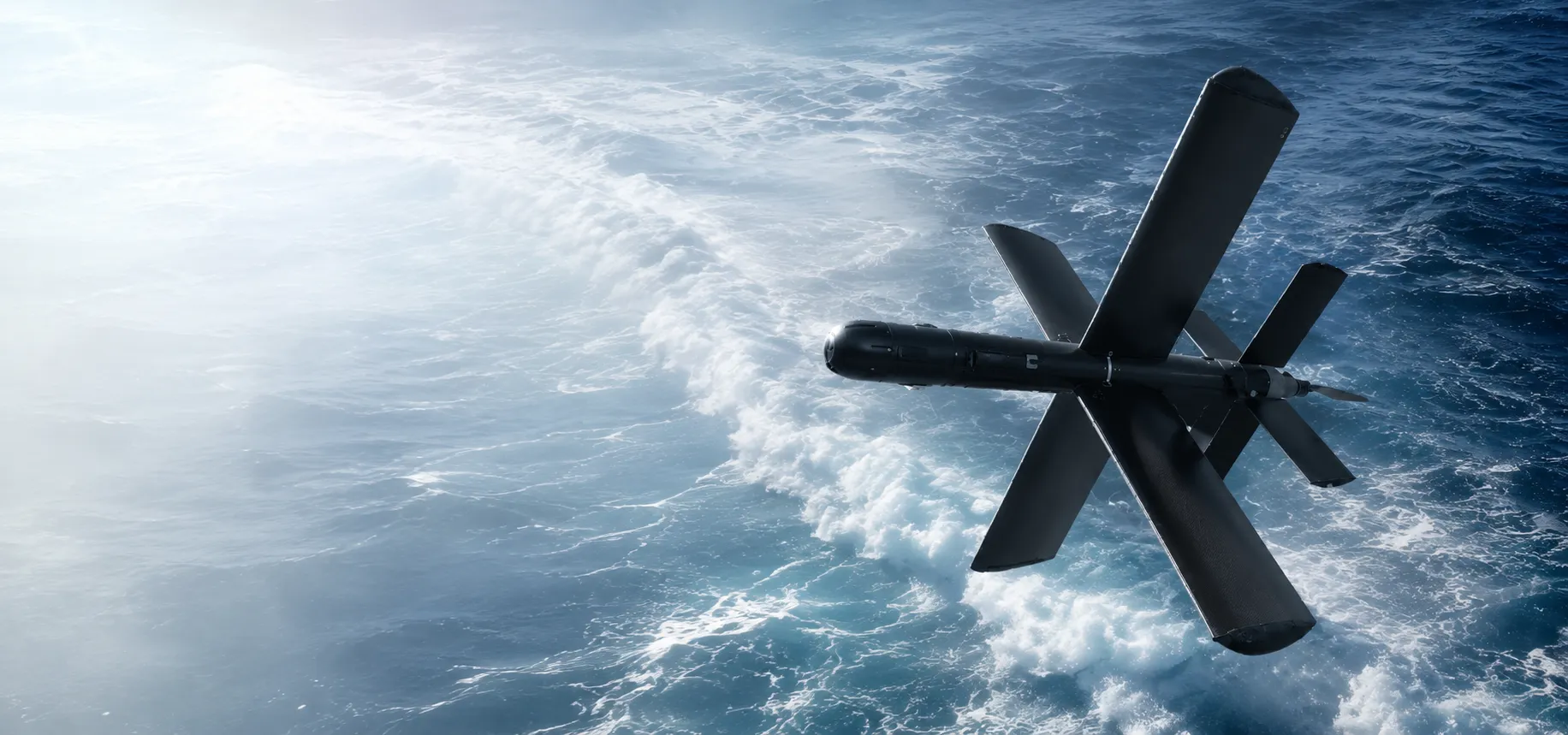 Advanced UAV Platform LM1